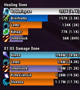 xScarlifeUI Details Damage Meter profile